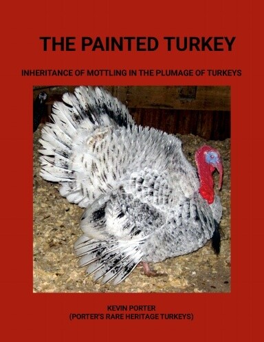 The Painted Turkey Book Cover